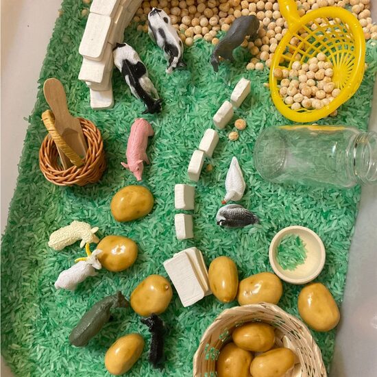 LAUKU DZĪVNIEKI sensorā kaste