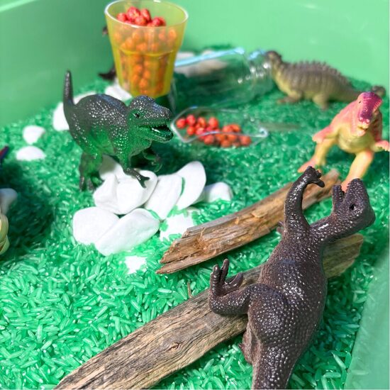 DINOZAURU sensorā kaste